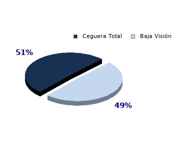 Gráficos estadísticos por grado de ceguera.